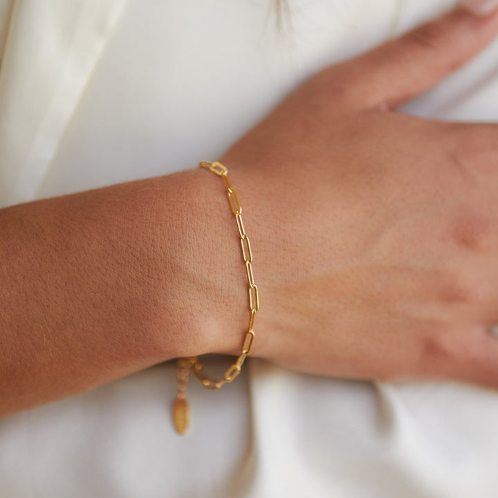 Λεπτομέρεια επιμήκων κρίκων paperclip — Eleni Santorini