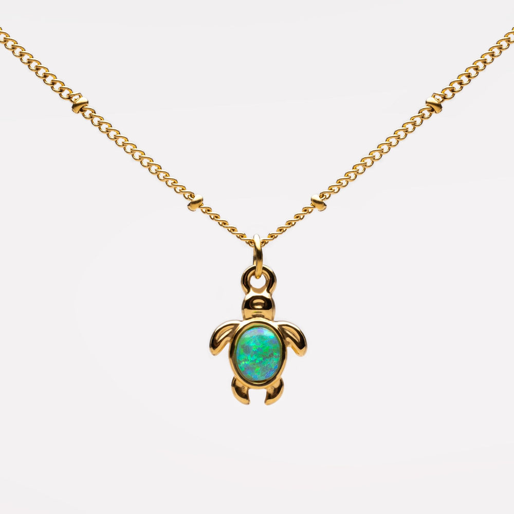 Κολιέ με χελώνα σε ασημί χρώμα — Eleni Santorini